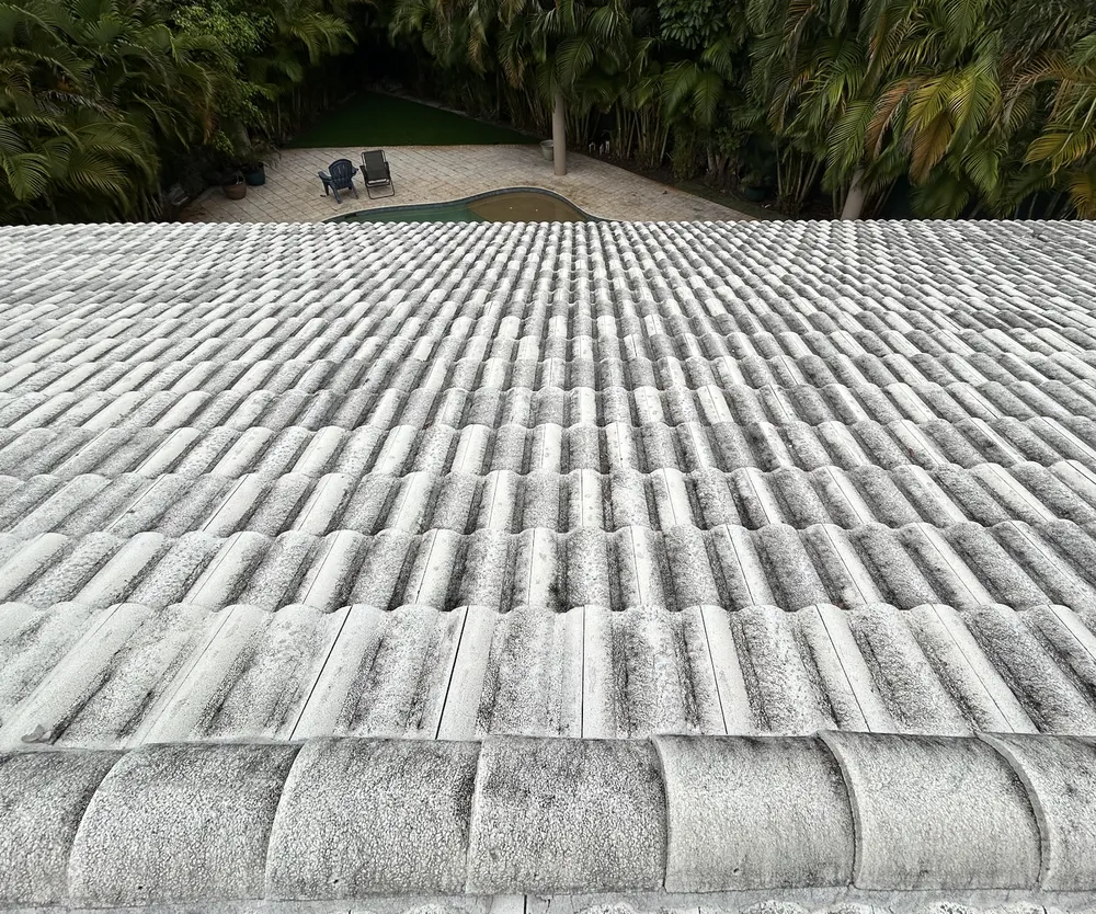 Clean tile roof after roof washing